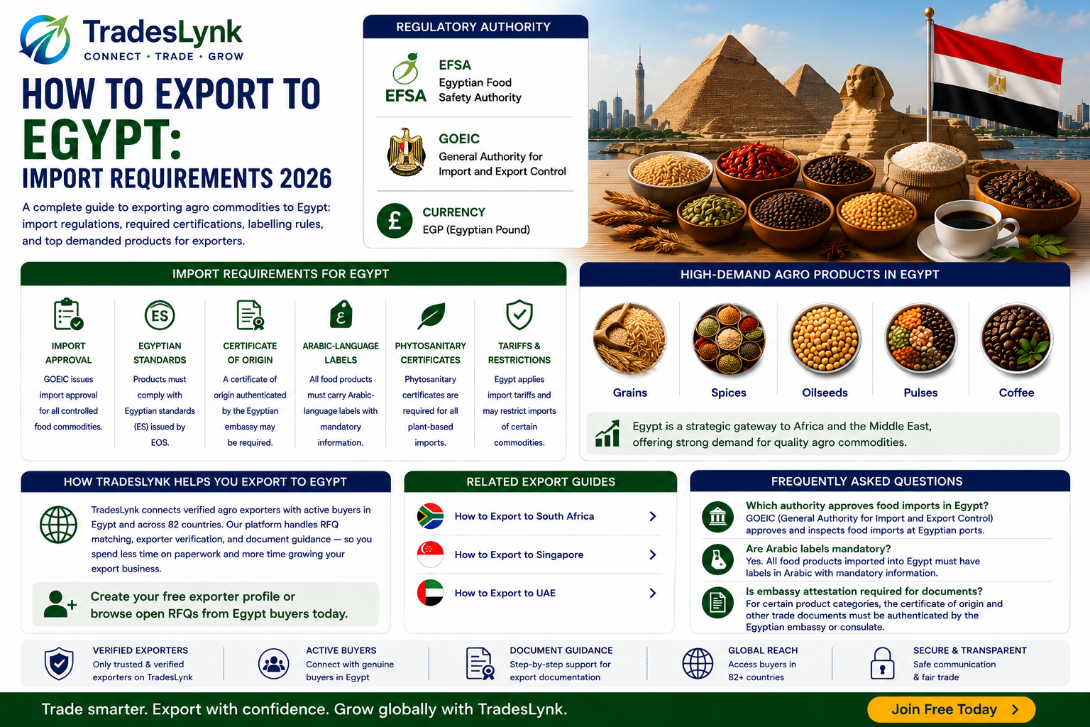 How to Export to Egypt: Import Requirements 2026 | TradesLynk