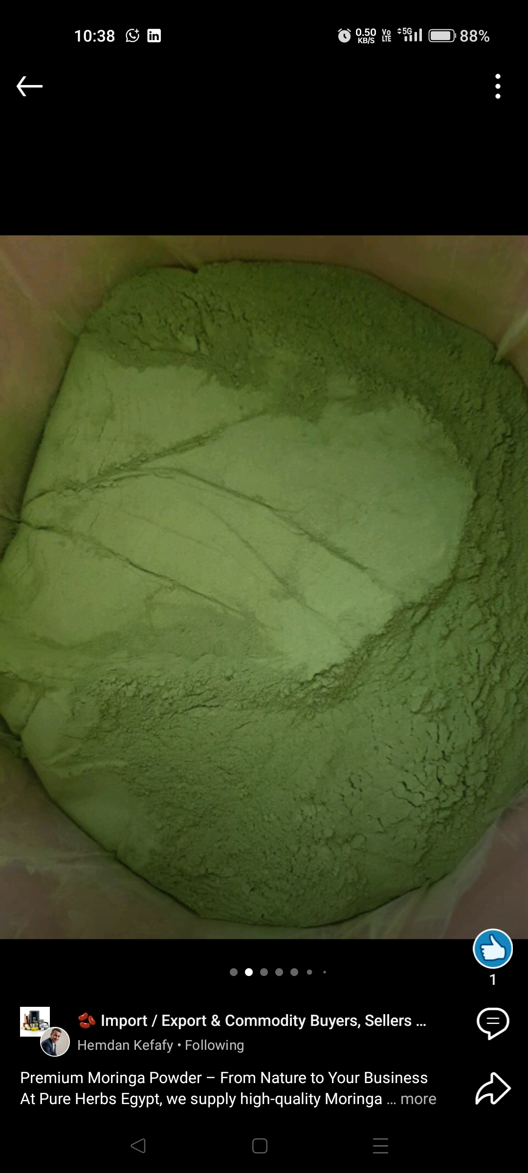 Organic Moringa powder